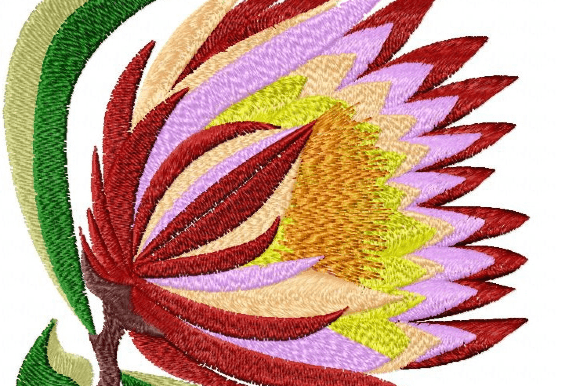 Protea Rainbow: A Vibrant Embroidery Design for Personalized Gifts